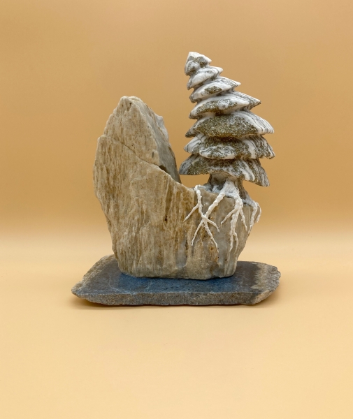 „ Sich biegende Tanne am Fels“